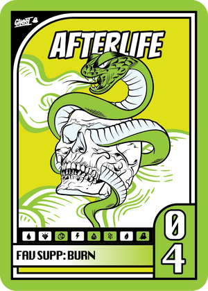 Afterlife